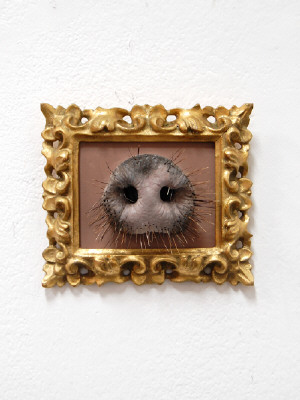 Artist: Cindy Kolodziejski, Title: Pig Snout, 2011 - click for larger image