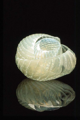 Artist: Dale Chihuly, Title: Gossamer Seaform Set with Ivory Lip Wraps, 1981 - click for larger image