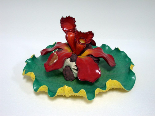 Artist: Keisuke Mizuno, Title: Red Pitcher Plants, 2004 - click for larger image